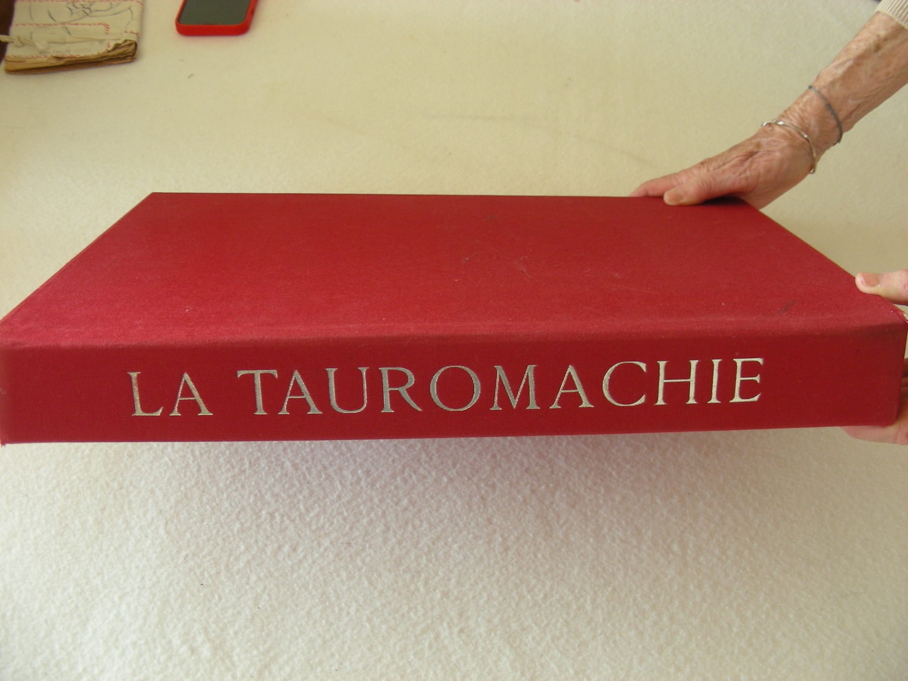 La Tauromachie